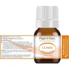 Cumin Essential Oil 5 ml 100% Pure Undiluted Therapeutic Grade.
