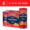 S.Pellegrino SANPELLEGRINO ARANCIATA ROSSA 11.15 oz ( 6 PACK)