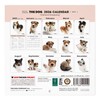 THE DOG 2026 Wall Calendar, Mini Size, Shetland Sheepdog