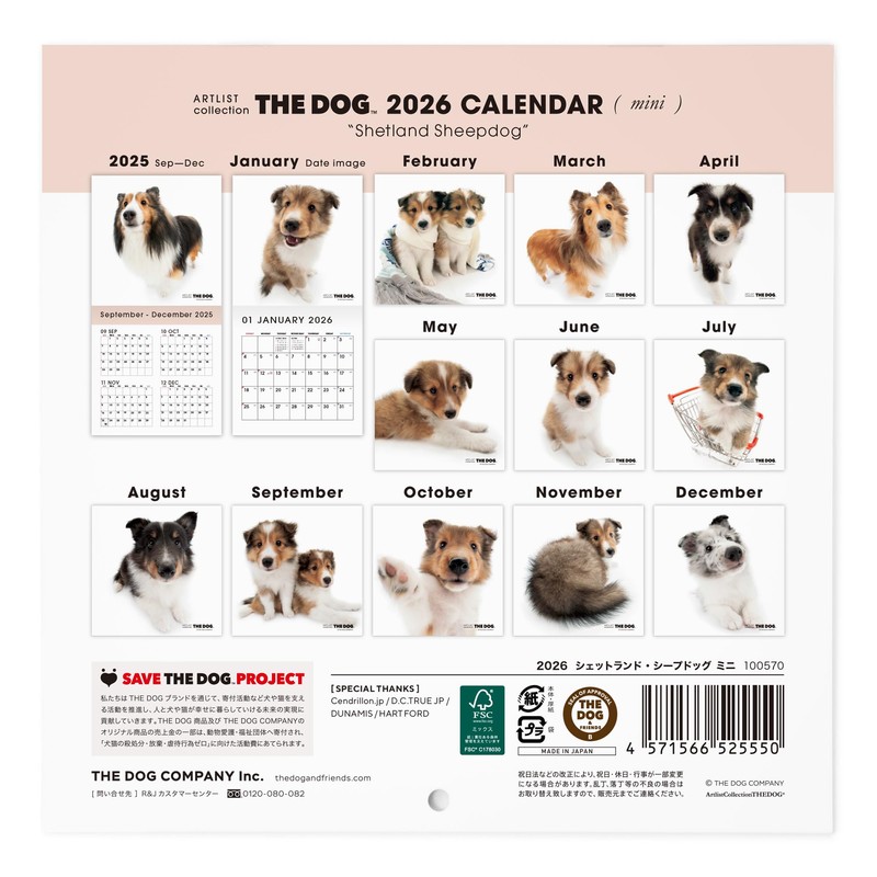 THE DOG 2026 Wall Calendar, Mini Size, Shetland Sheepdog