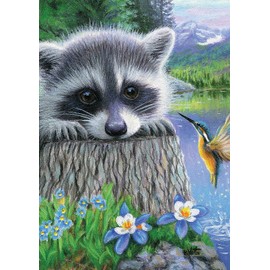 Toland Home Garden 1012731 Raccoon and Hummingbird Spring Flag, Double Sided for Outdoor Flower House Yard Decoration