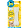 JW Pet Dog Toy, Dental Toy, Evertough Bone, Chicken, Small