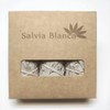 Salvia Blanca California Sage Apiana 3 Pack 10cm 25g Natural