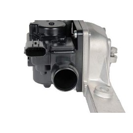 GM Genuine Parts 214-2150 Secondary Air Injection Check Valve Kit with Retainers and Bolts