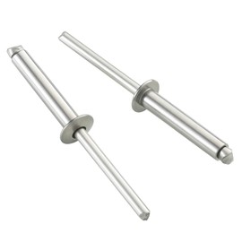 BNUOK 110pcs 3/16" x1" Aluminum Blind Rivets, 4.8 x 25mm Pop Rivets,Rivets for Metal,Silver