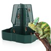 Chameleon Feeding Bearded Dragon Bug Bowl Reptile Feeder Box with