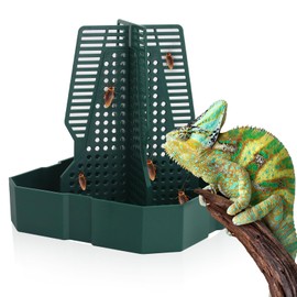 Chameleon Feeding Bearded Dragon Bug Bowl Reptile Feeder Box with Column for Insects to Climb for Feeding Chameleon Gecko Lizard Frog (M)