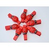C.X.Y. 48 Wooden Clothes Pegs with Ladybird for Labelling Places,
