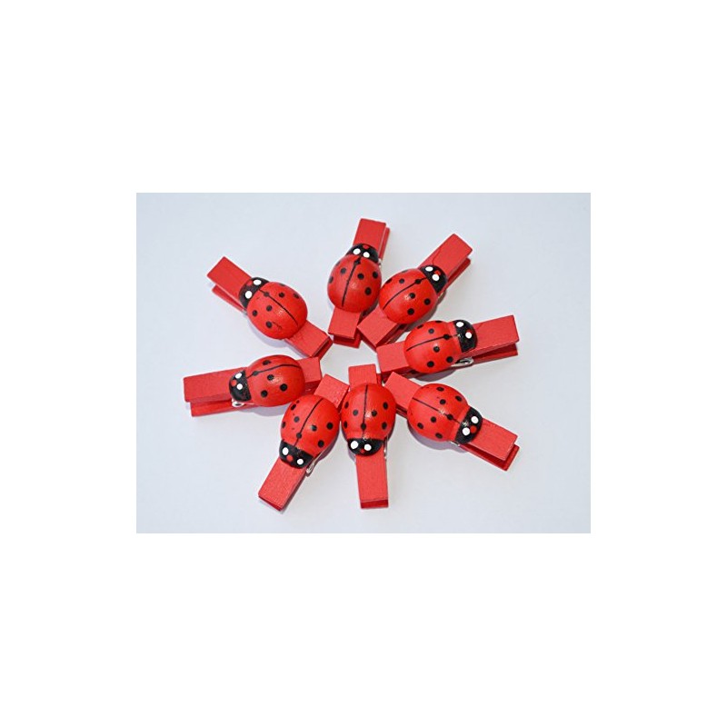 C.X.Y. 48 Wooden Clothes Pegs with Ladybird for Labelling Places,