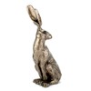 Sitting Hare Small 25cm tall Cold Cast Bronze Sculpture -