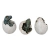 Ebros Gift Set of 3 Jurassic Era Predator Velociraptor and
