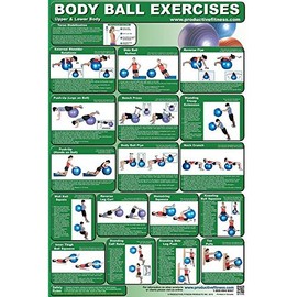 Productive Fitness Upper and Lower Body Ball Exercise Poster