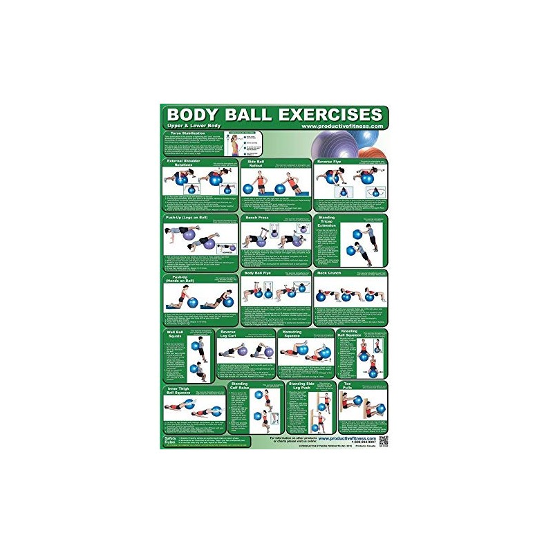 Productive Fitness Upper and Lower Body Ball Exercise Poster