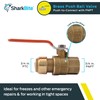 SharkBite 3/4 x 3/4 Inch Ball Valve with FNPT Connector,
