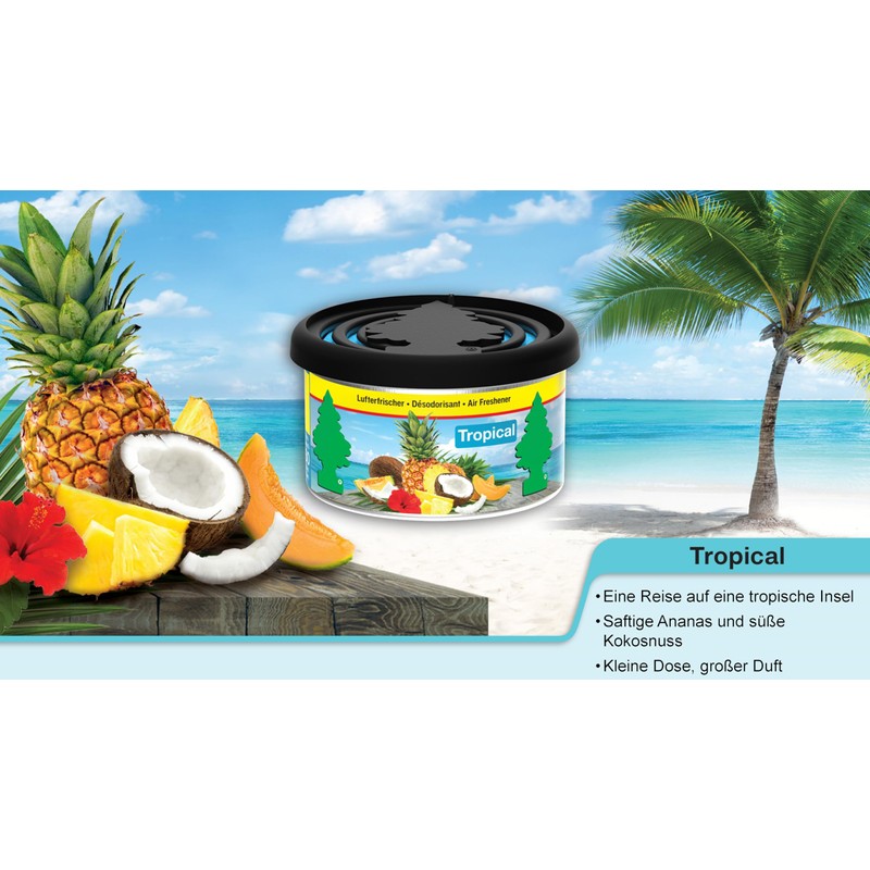 WUNDER-BAUM Duftdose I Langanhaltender Duft im Auto oder zu Hause