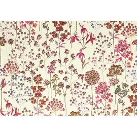 Wildflower Meadow Note Cards (Stationery, Boxed Cards)