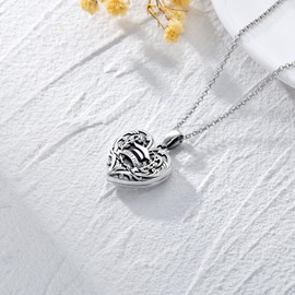 SOULMEET Graduation Gifts for Her, Class of 2023/2024/2025 Compass/Nursing Locket Necklace That Holds 2 Pictures Photo Graduation Cap Heart Pendant for Congratulation, Metal, No Gemstone