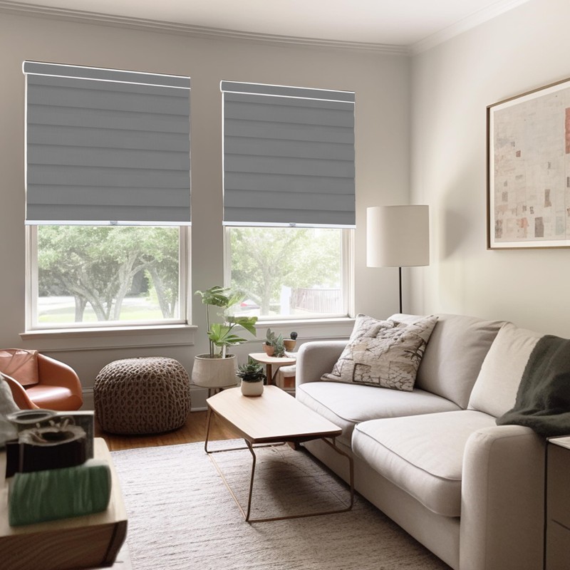 CHICOLOGY Zebra Blinds, Roller Window Shades, Blinds for Windows, Roller