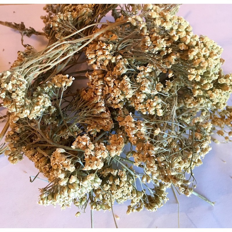 Organic Bio Herbs-Premium Organic Dried Yarrow Flowers - Non-GMO, Sustainably