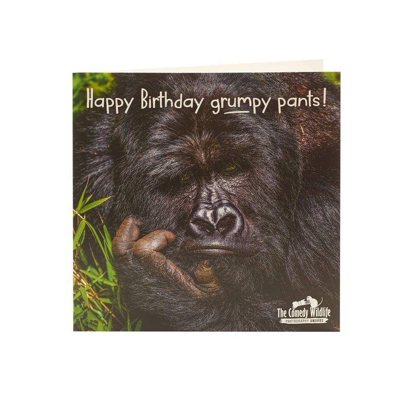 UK Greetings Birthday Card for Him/Her/Friend - Grumpy Gorilla Design