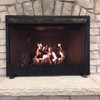 Design Specialties Fireplace Screen Pond Design (Textured Black, Small)