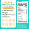 Venture Pal Sugar Free Electrolytes Powder Packets - Liquid Daily