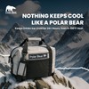 Polar Bear Coolers - Original Nylon Soft Cooler Bag -
