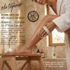 Eda Taspinar Horse Hair Brush 100 Natural Horsetail Bristle For