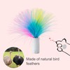 ORSDA 6Pcs Interchangeable Attachments Cat Feather Toys Replaceable Feathers and