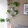 PlantPod Luxe - Self-Watering Wall Planters (Set of 6) -