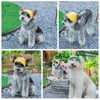 Pet Dog Baseball Cap, Cat Hat, Cat Dog Sun Cap