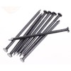 Mini Skater 2.36 Inch Iron Metal Hardware Wire Nail Assortment,4.86