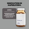 MoleQlar Omega 3 90 Capsules - High Dose with 1000