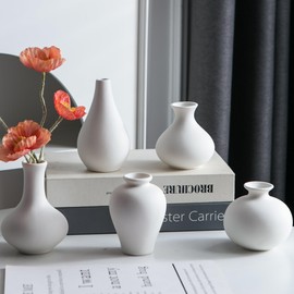 Tanvecle Small White Vases, Ceramic Bud Vase Set of 5, Mini Pottery Vases for Pampas Grass, Flowers, Decorative Vases for Home Modern Decor, Rustic Decor, Veses for Living Room Dining Table Shelves