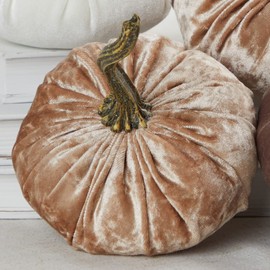 Small velvet pumpkins with stems set of 4, taupe decor, neutral bowl filler for kitchen, year round mantel decor, autumn cozy gift for her, fall centerpiece (2 Luxe Champagne, Ivory, Taupe)