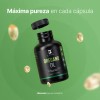 Aceite De Orégano De 300 Caps. Oregano Oil. B Life