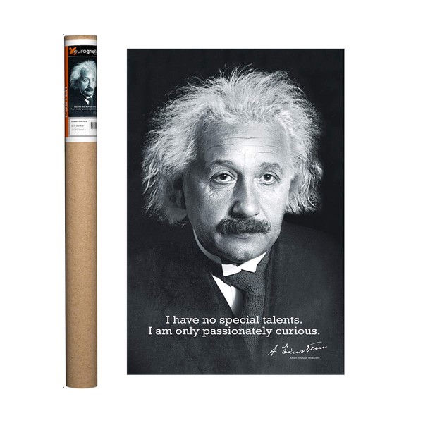EuroGraphics Einstein Curiosity Poster, 36 x 24 inch