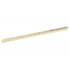 Alumicolor 6-in Pocket Architect Scale Gold