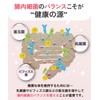 菌活善菌 乳酸菌 5兆個 ビフィズス菌 酪酸菌 納豆菌 オリゴ糖 食物繊維 サプリメント 30日30粒
