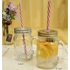 Glass Drink Jar 13.8 fl oz (380 ml) with Straw,