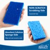 HOMEXCEL Sponges Kitchen 12pcs, Non-Scratch Scrub Dish Sponge Safe on