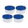 Westmark herbal jar set, 4 pieces, volume 100 ml each,