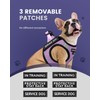 FAYOGOO Service Dog Vest for Small Breed - Lightweight Dog