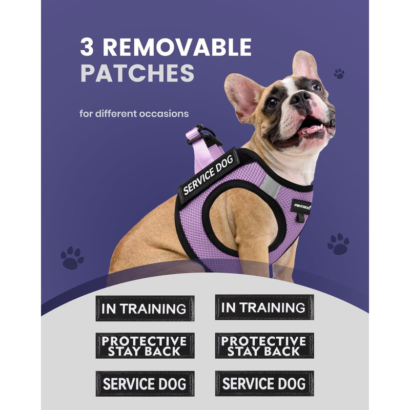 FAYOGOO Service Dog Vest for Small Breed - Lightweight Dog