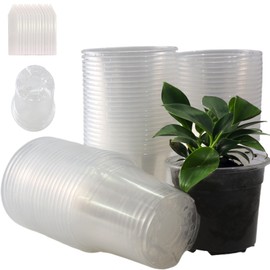 60 Packs Clear Nursery Pots with Drainage Hole 6 Inch Clear Pots for Plants Succulent Plant Pots Set Plastic Seedling Starting Pots Flower pots Planter Seed Starter, Clear