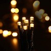 DBFAIRY 2 Pack-16.4ft Outdoor Christmas Tree String Lights 50 Warm
