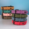 Didog Soft Padded Leather Dog Collar, Breathable Heavy Duty Dog