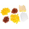 Plastic Queens Rearing System Bee Breeding Cultivating Box Cell Cup