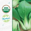 Seed Packet - Bok Choy 'White Stem' 500mg