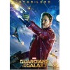 Guardians of the Galaxy Clear File Set IG4091